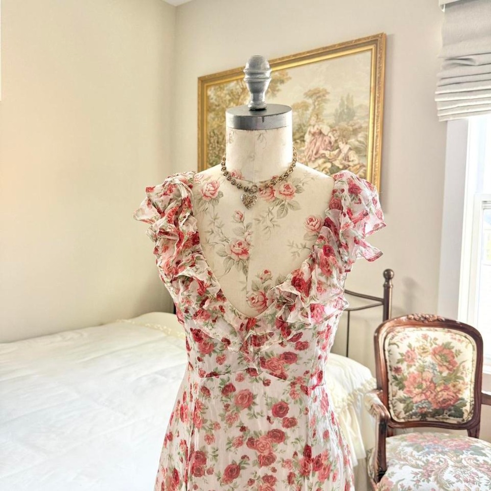 Ivy gown sold by anthropologie pink rose chiffon maxi dress Sachin & Babi size 4 - Picture 2 of 5